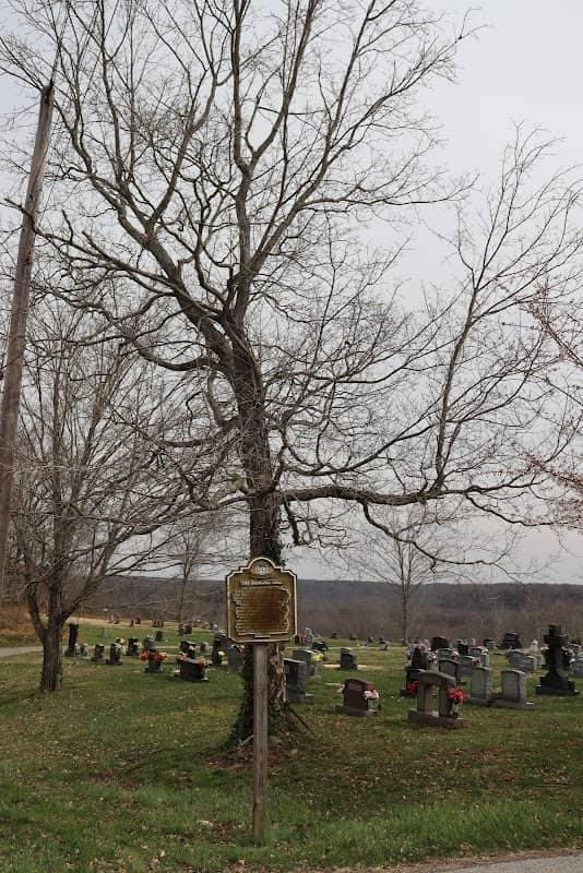 The Hanging Tree - Image 2