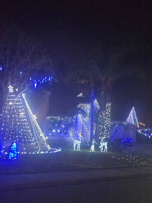 Fantastic Christmas Light Neighborhood Show - Image 1