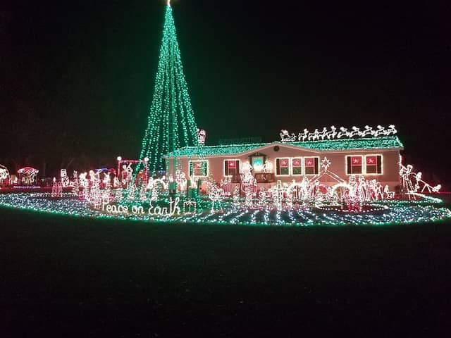 Lisa's Lights - Image 1