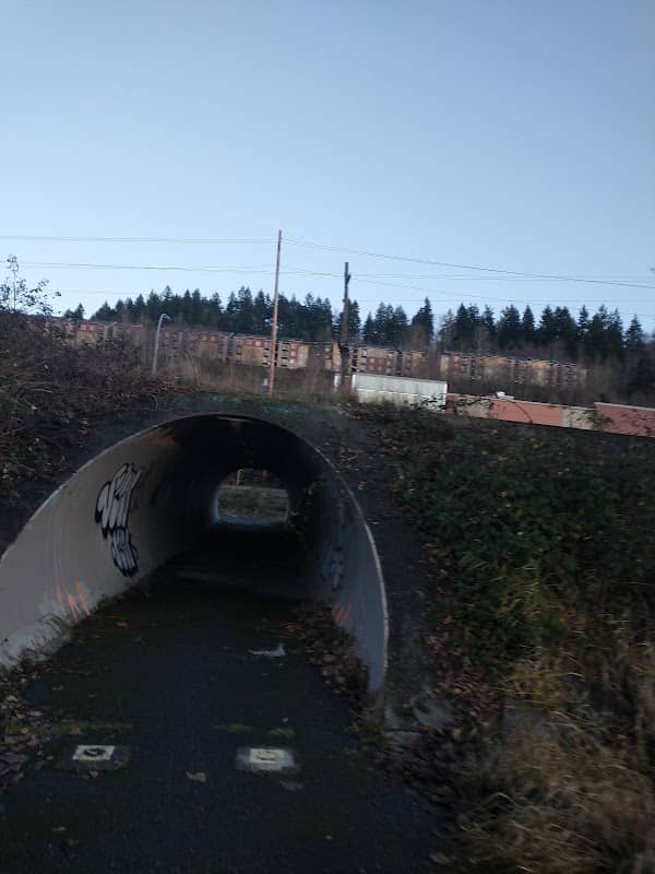 Lake Tapps Parkway Trail access - Image 1