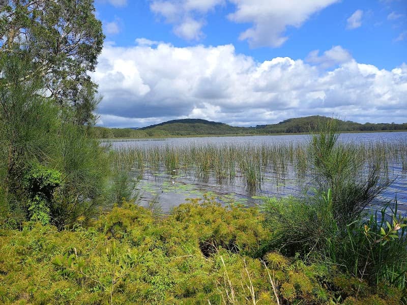 Cudgen Nature Reserve - Image 1