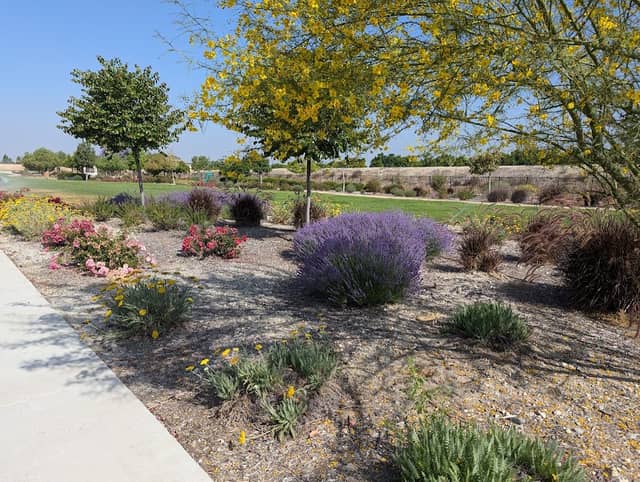 People’s park - Image 1
