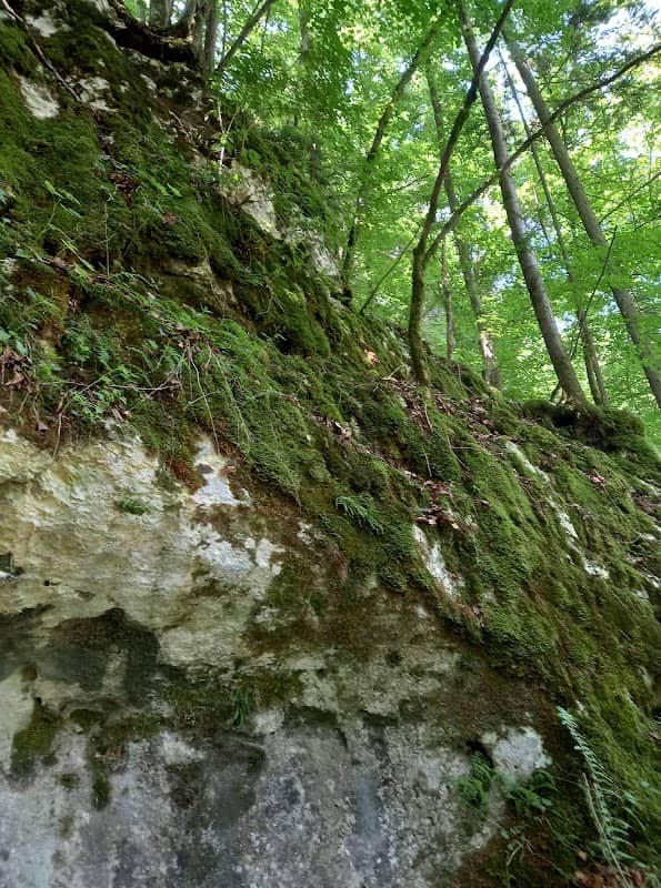 Obernederhöhle - Image 2