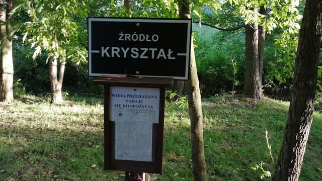 Źródło Dąbrowiczanka - Image 1