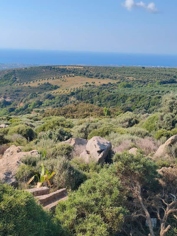 Point od view - Image 1