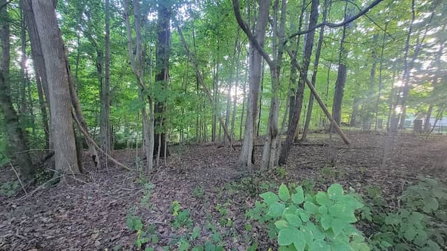Anderson Park - Image 2