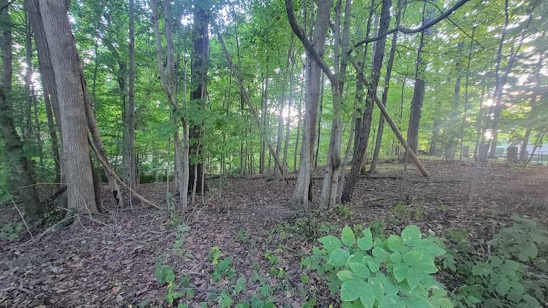 Anderson Park - Image 2