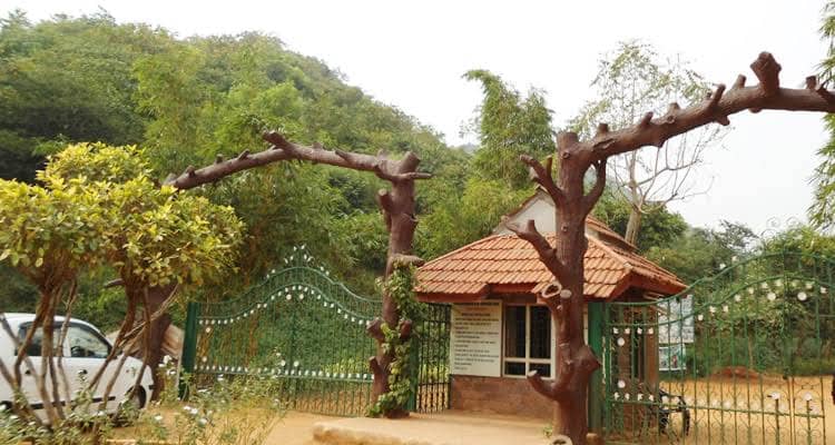 Kambalakonda Wildlife Sanctuary - Image 1