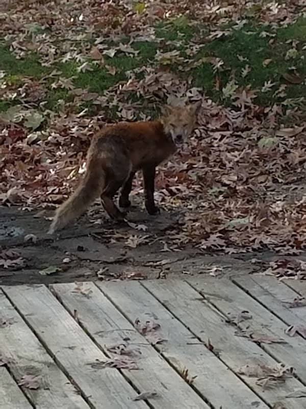 Hillcrest Park - Image 2