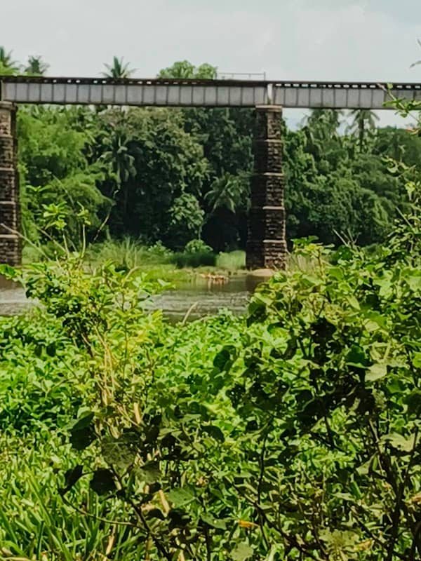 Parambaremkunnu, koottampara - Image 2