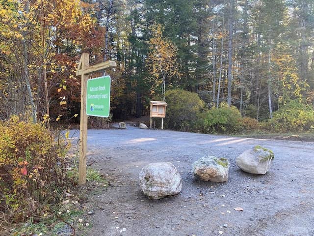 Castner Brook Community Forest - Image 2