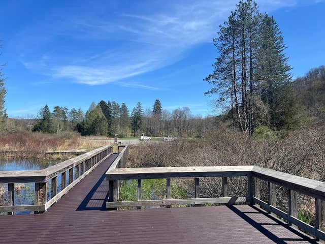 Red House Wetlands Interpretive Boardwalk - Image 1