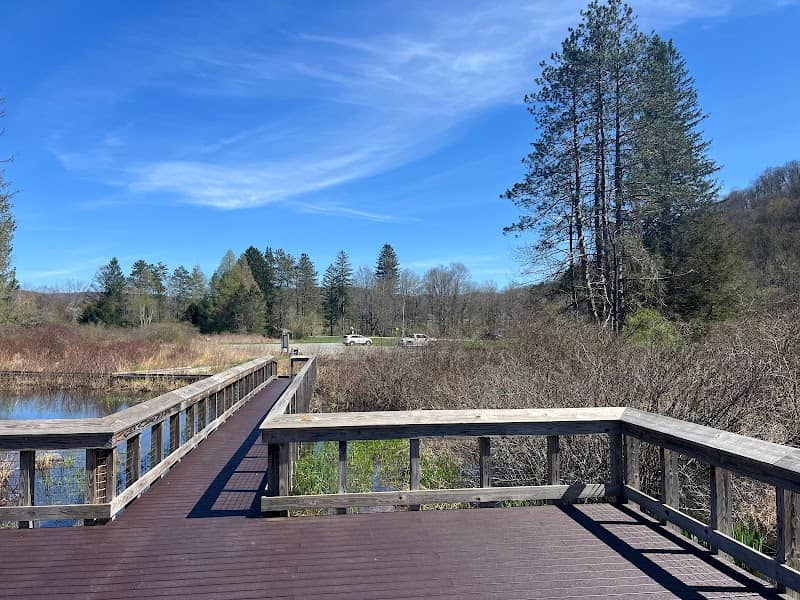 Red House Wetlands Interpretive Boardwalk - Image 1