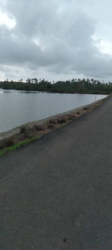 Kattambally back water - Image 1