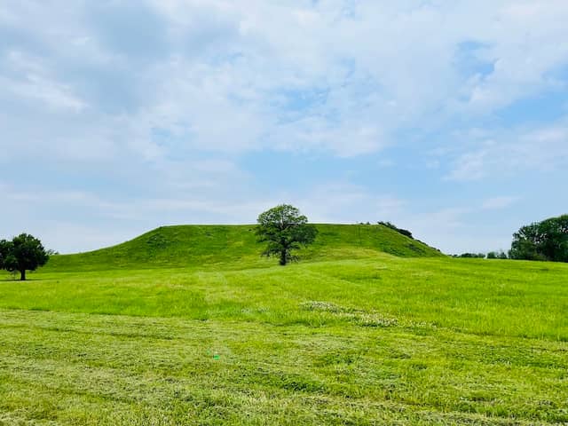 Monks Mound - Image 3