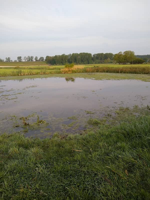 Storchennest am Lückenbach - Image 1