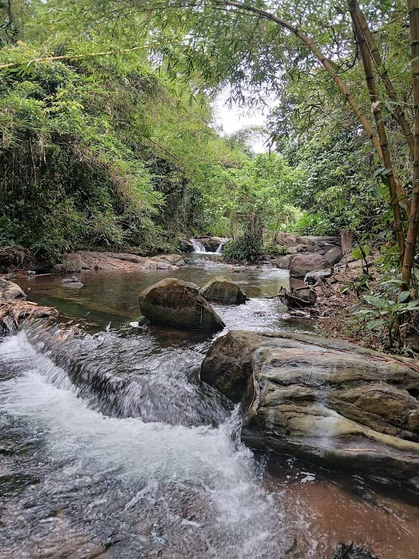 Kallumkuzhi River Bank - Image 1