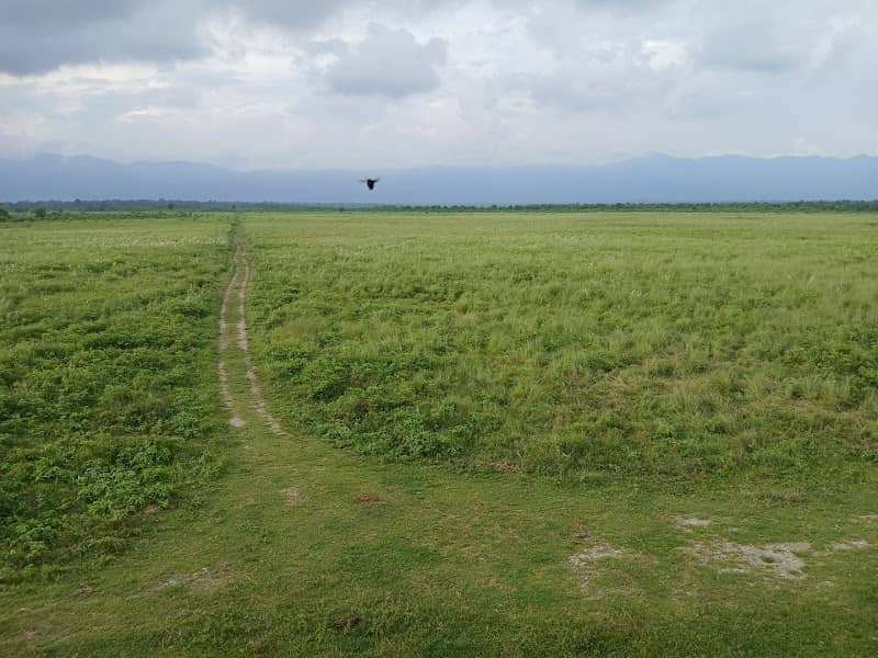 Rupohi Forest Camp, Bhuyanpara Range - Image 2