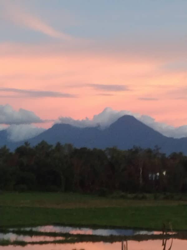 WISATA SAWAH MONTASIK - Image 1