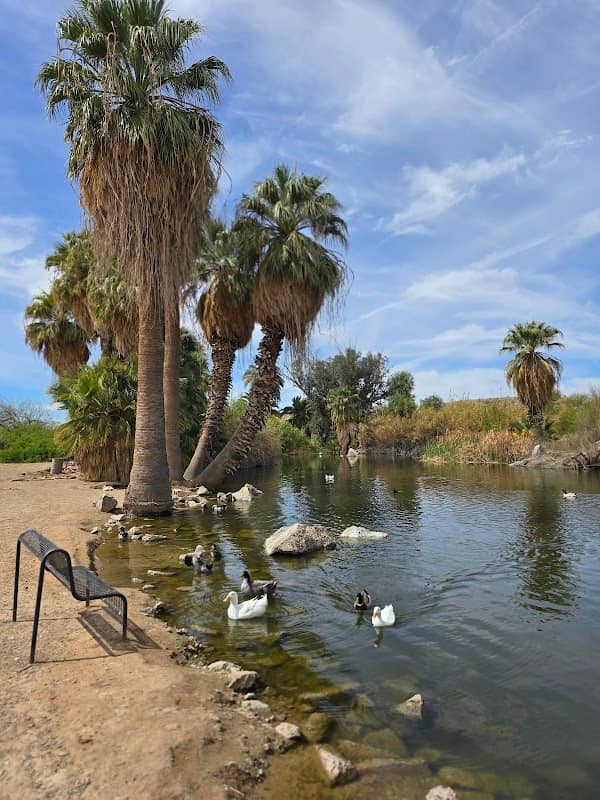 Yuma Conservation Garden - Image 2