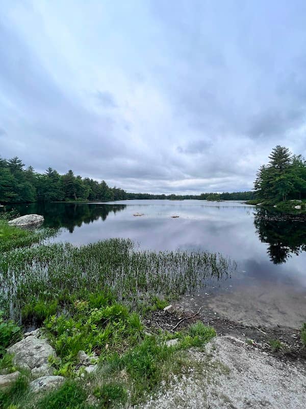 Willand Pond Trail - Image 1