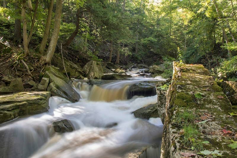 Lower Beamer Falls - Image 2