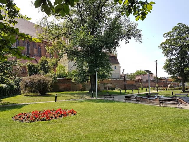 Park Solidarności - Image 1