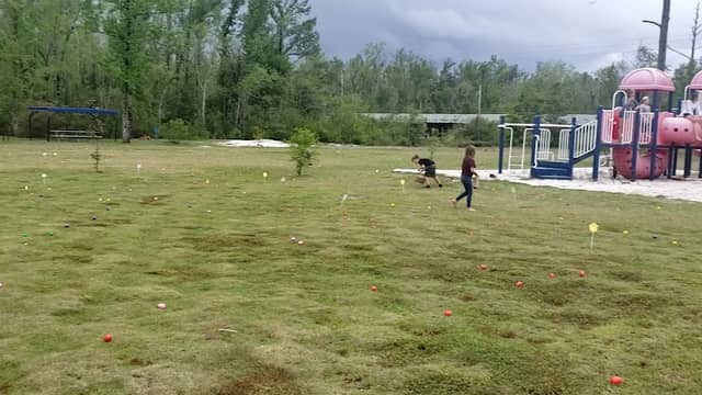 Four Mile Creek Park - Image 2