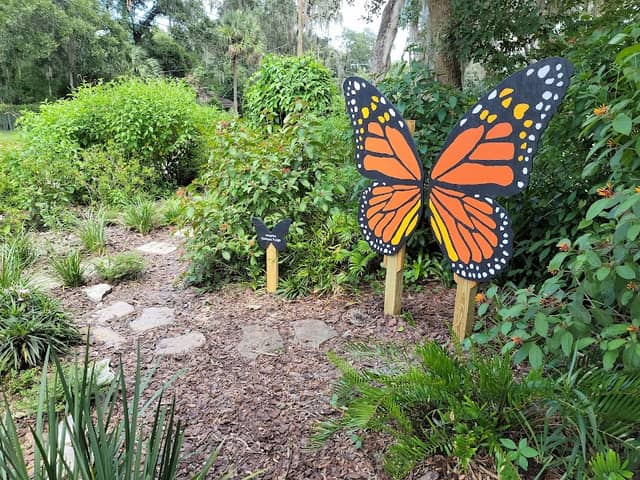 Butterfly and Pollinator Garden - Image 3