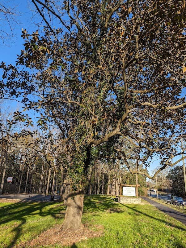 North Highland Park - Image 2