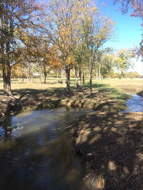 Steeplechase Park - Image 1