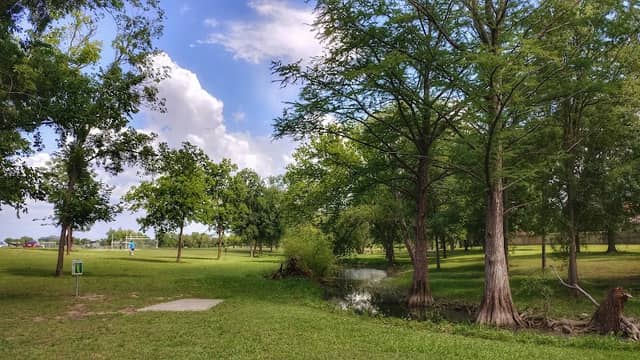 Steeplechase Park - Image 3