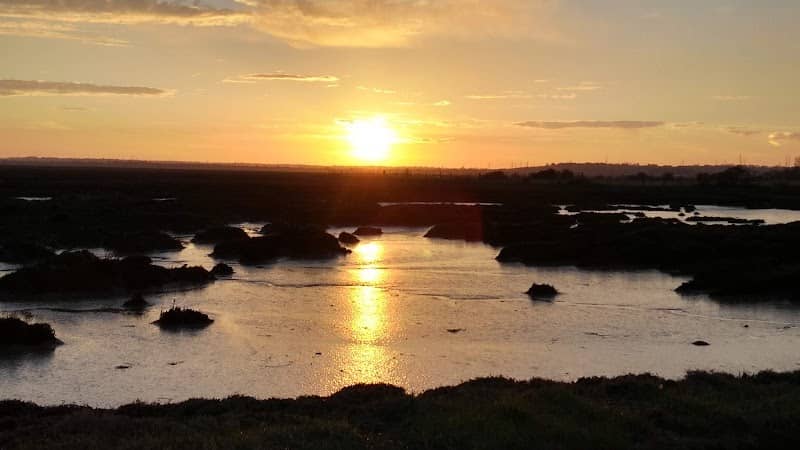 Cuckoo Marsh - Image 1