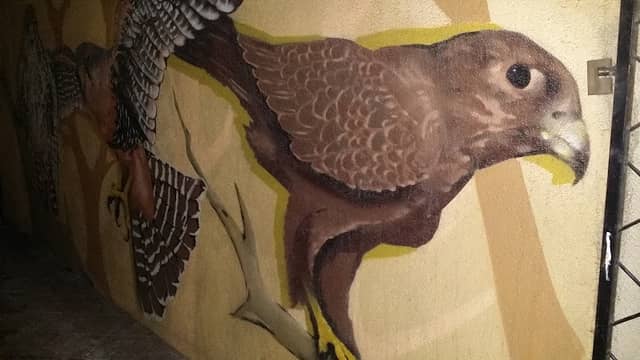 Mural Sokola - Image 1