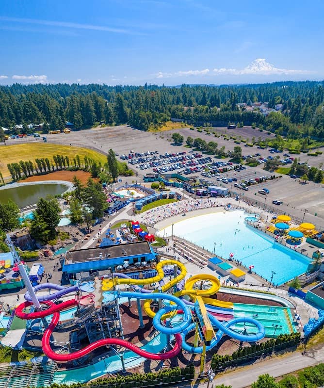 Wild Waves Theme and Water Park - Image 2