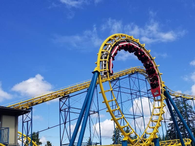 Wild Waves Theme and Water Park - Image 1