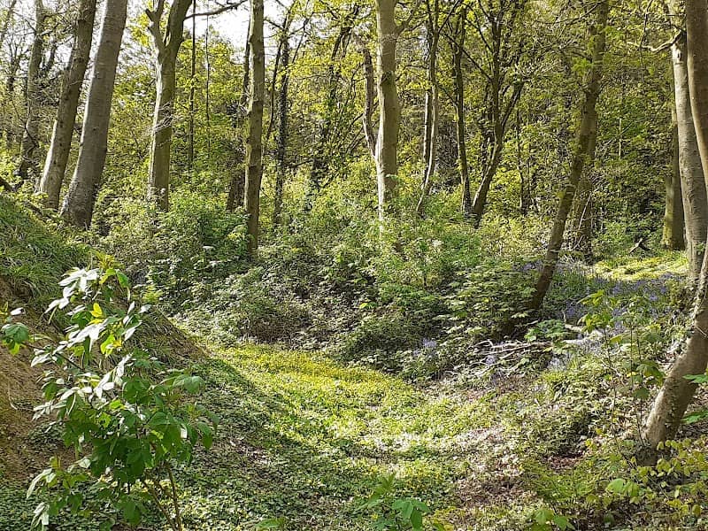 The Whyte Estate - Image 1