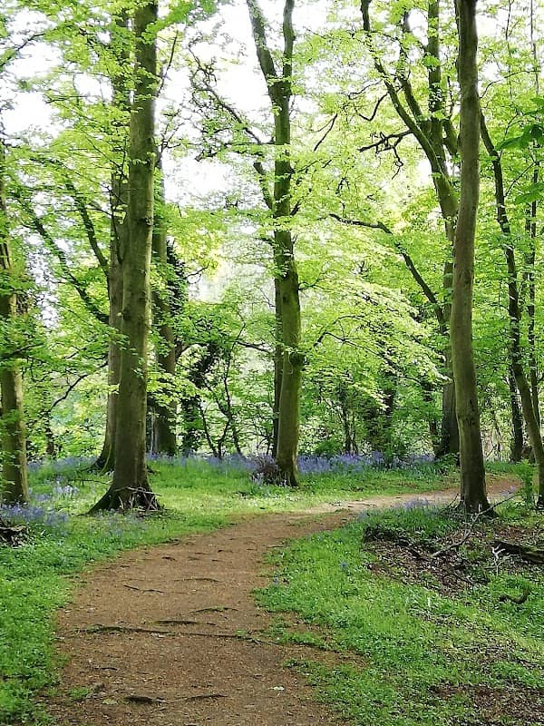 The Whyte Estate - Image 2