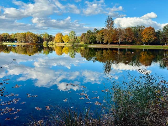 Naherholungsgebiet Auwaldsee - Image 1