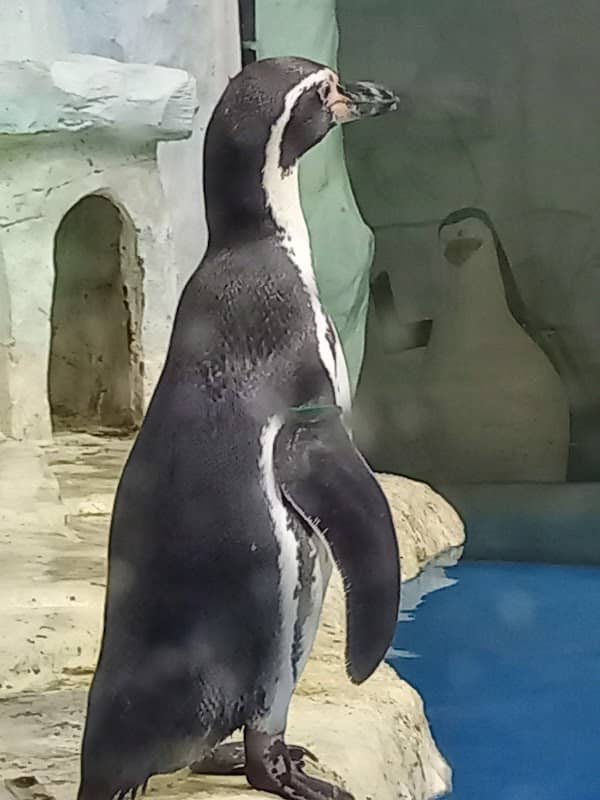 Okeanarium - Image 1