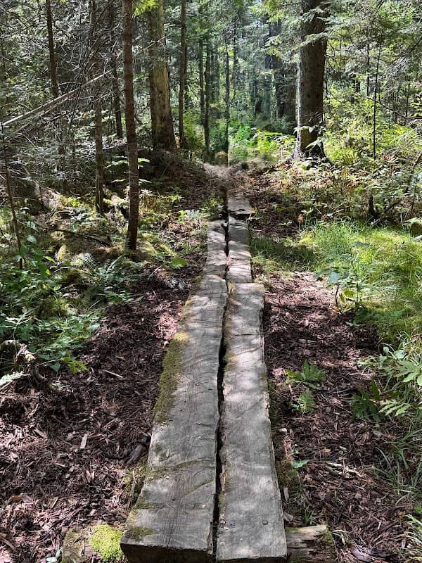 Law Farm Nature Trails - Image 2