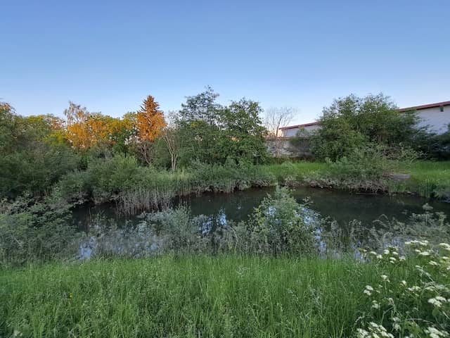 Weiher - Image 1
