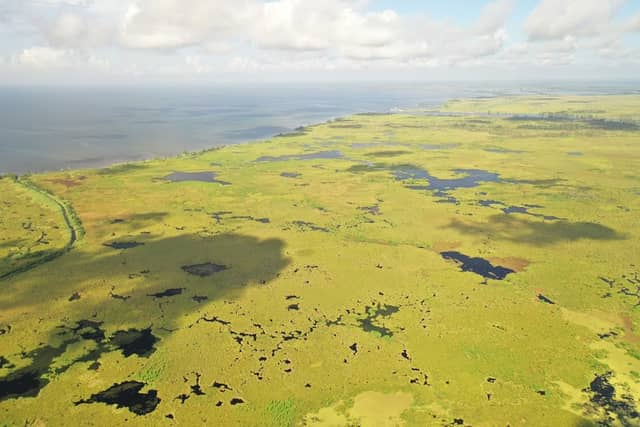 South East Madisonville/Mandeville Marsh - Image 1