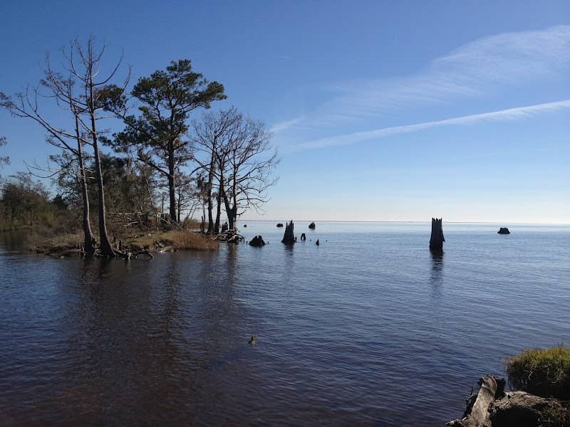 South East Madisonville/Mandeville Marsh - Image 2