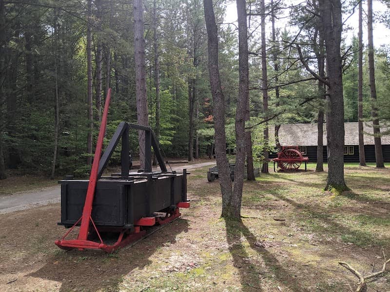Hartwick Pines State Park - Image 1