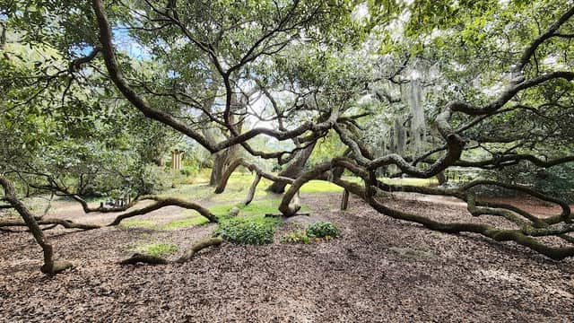 Airlie Gardens - Image 1