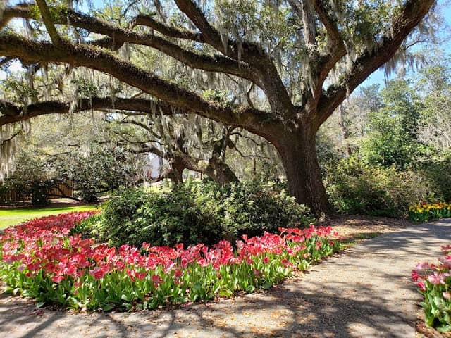 Airlie Gardens - Image 3