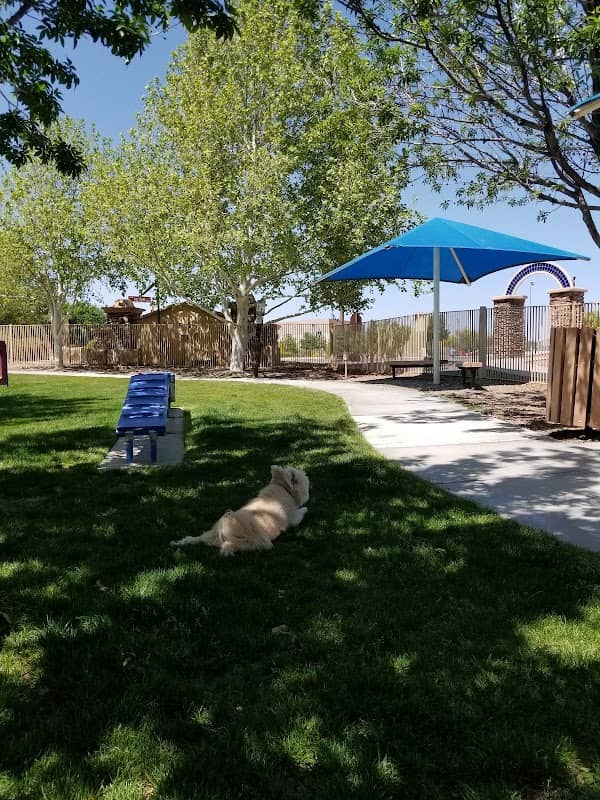 Bark Park - Image 1