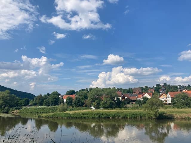 Niedersachsen Pferd - Image 1