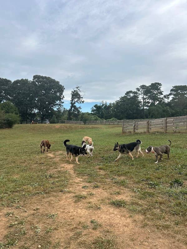 Bark Camp Farm - Image 1